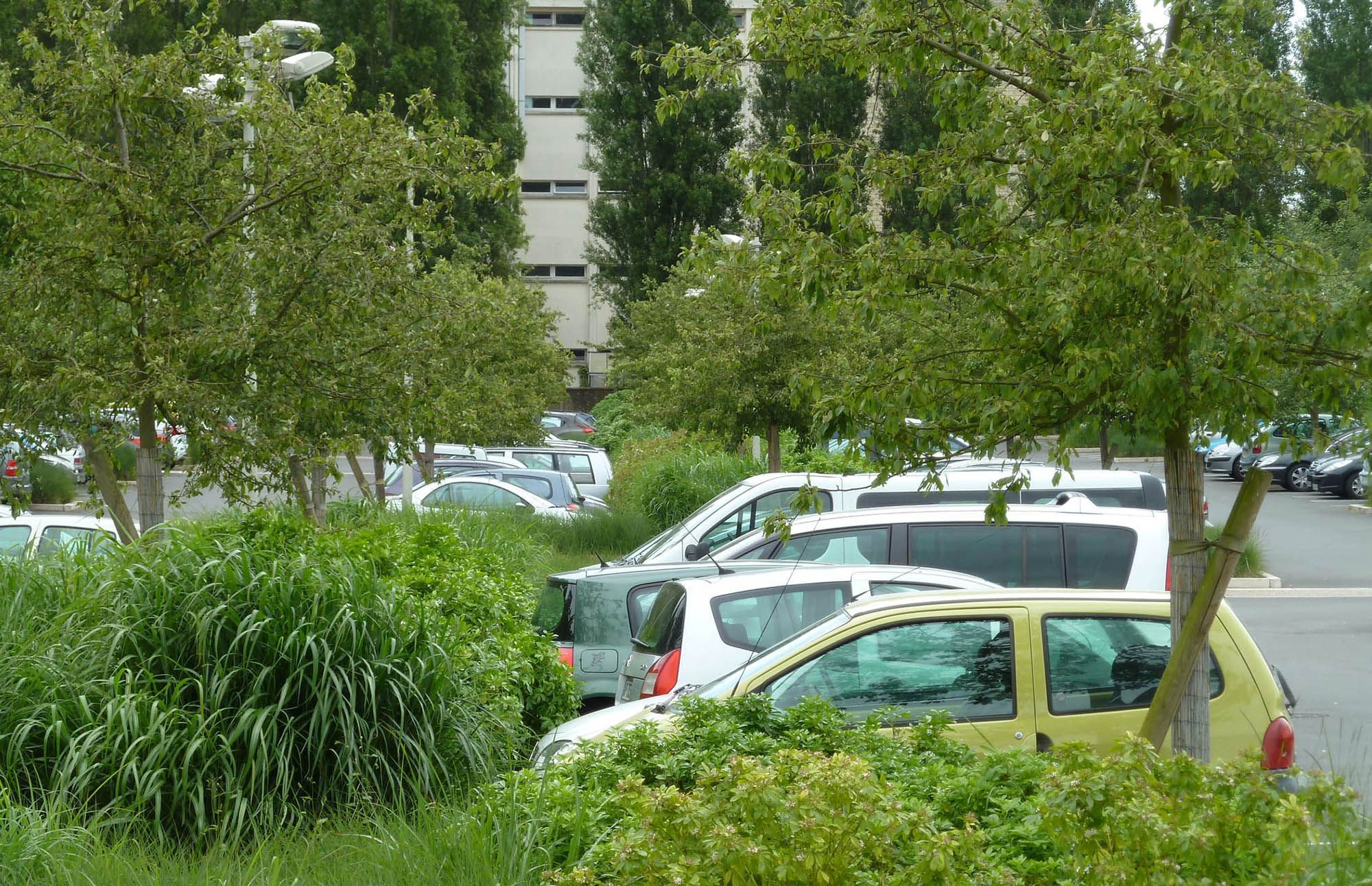 Image de la galerie du projet