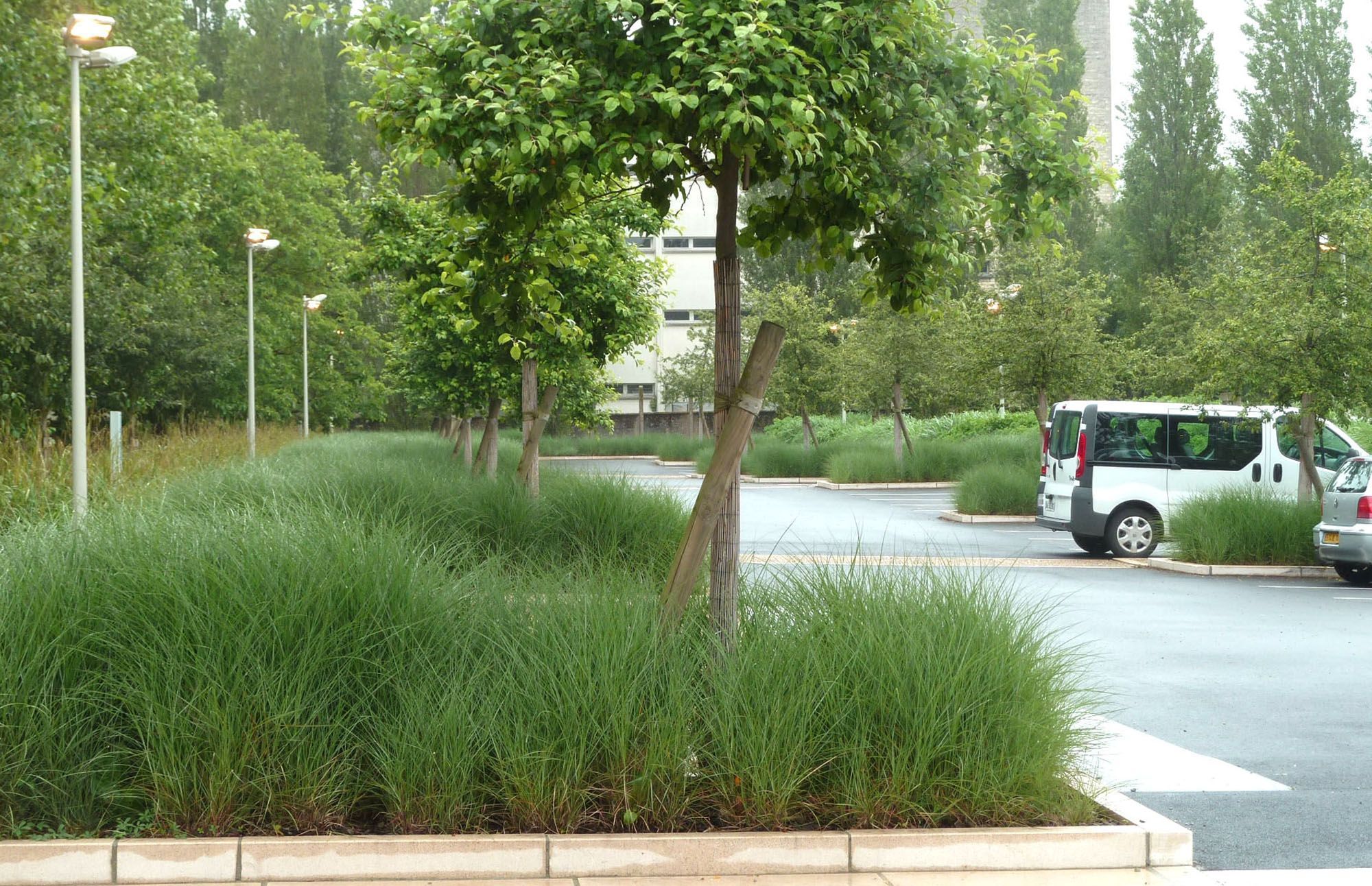 Image de la galerie du projet