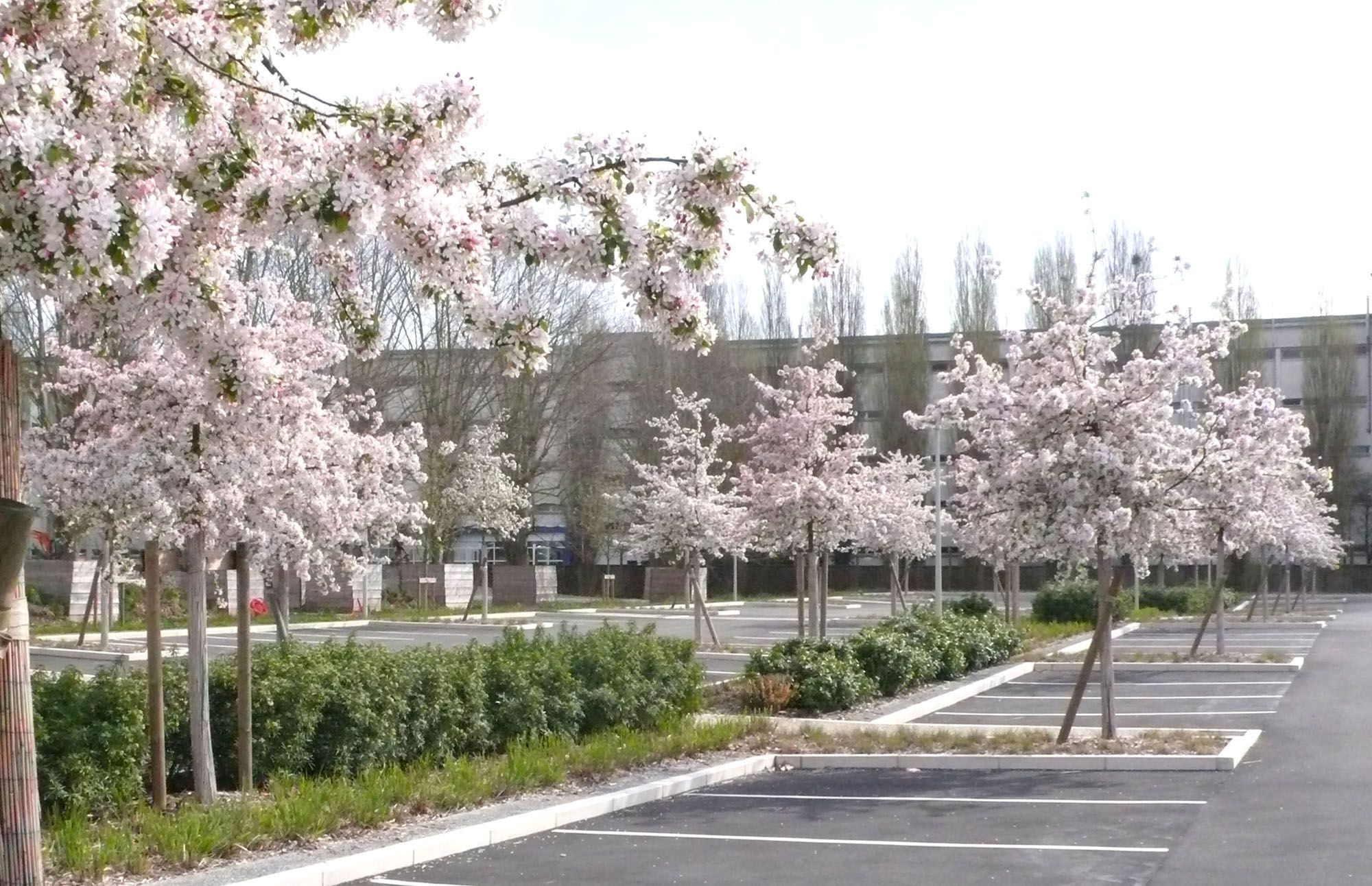 Image de la galerie du projet