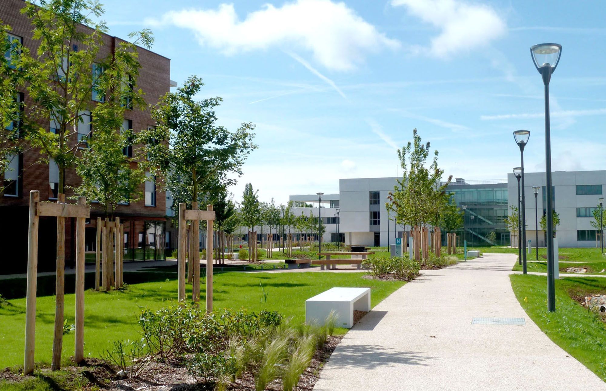 Image de la galerie du projet