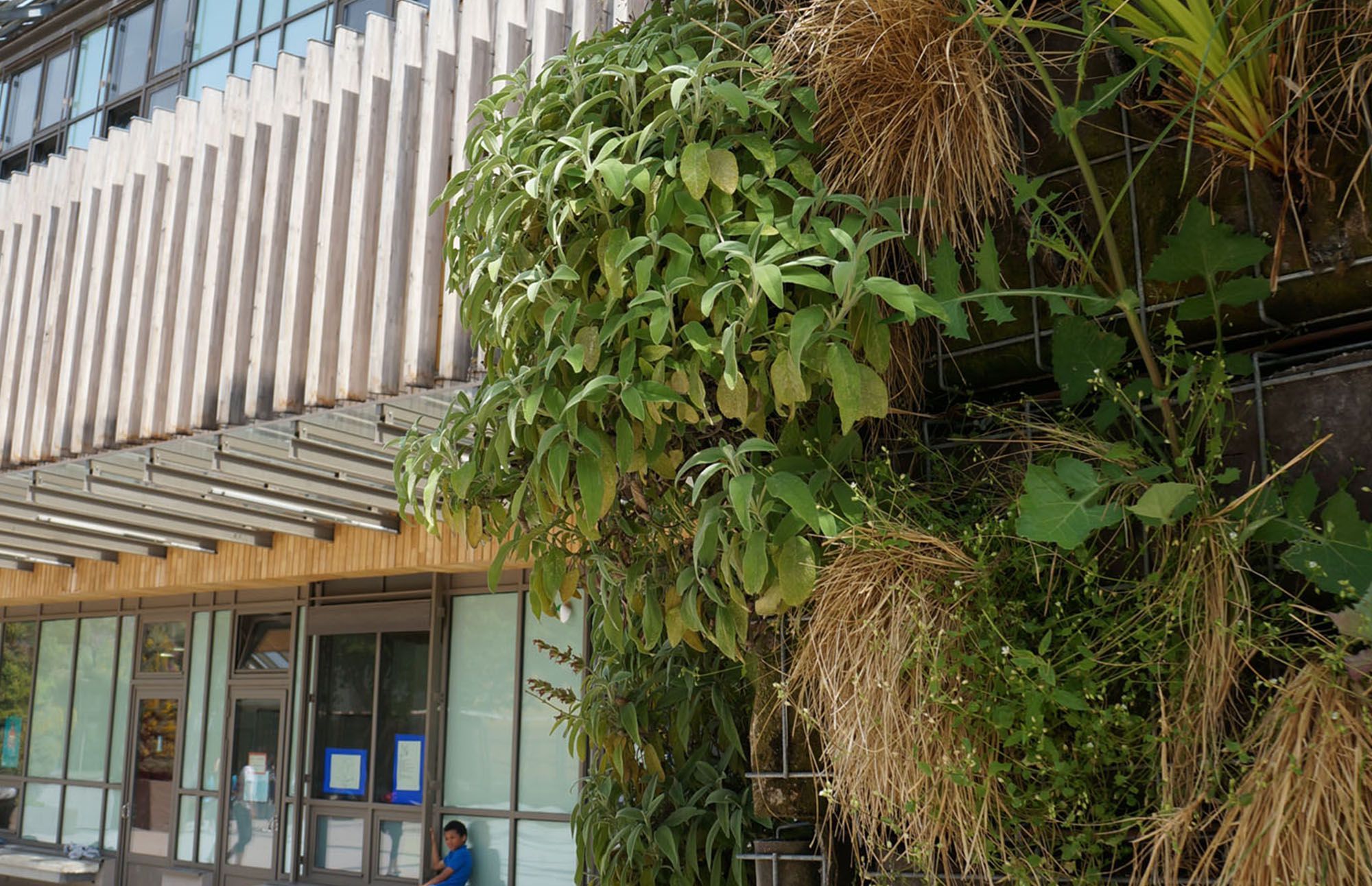 Image de la galerie du projet