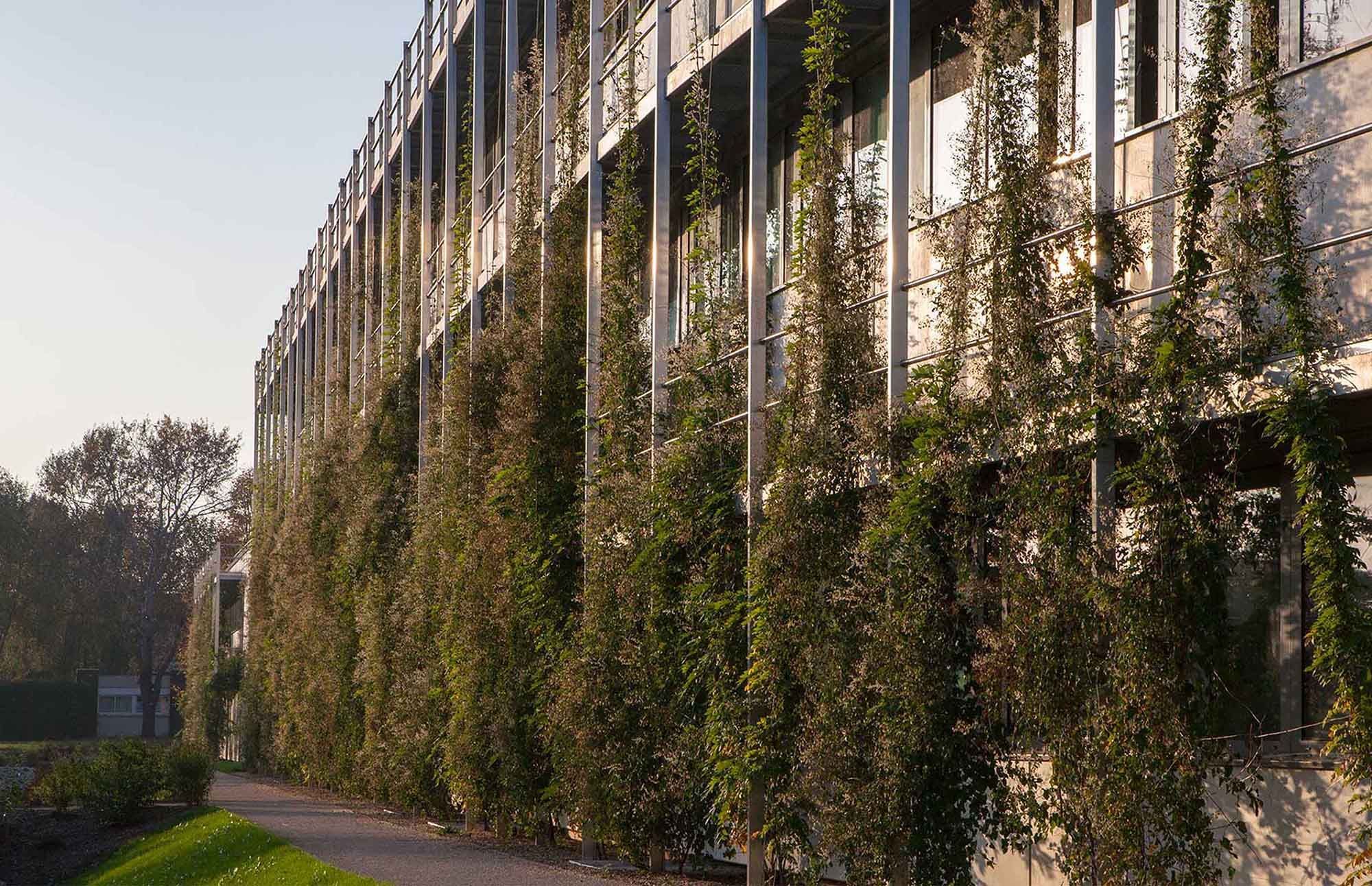 Image de la galerie du projet