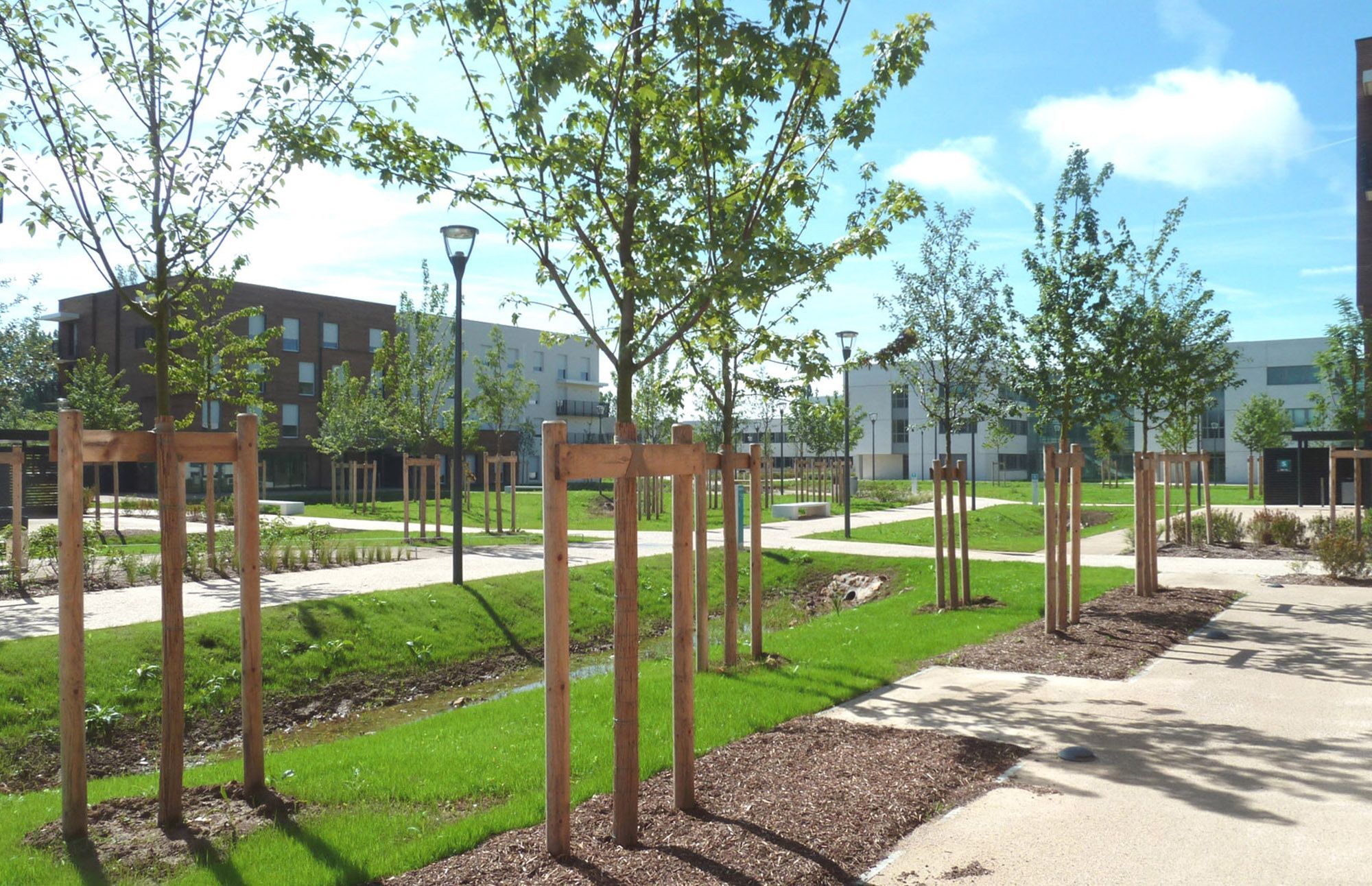 Image de la galerie du projet