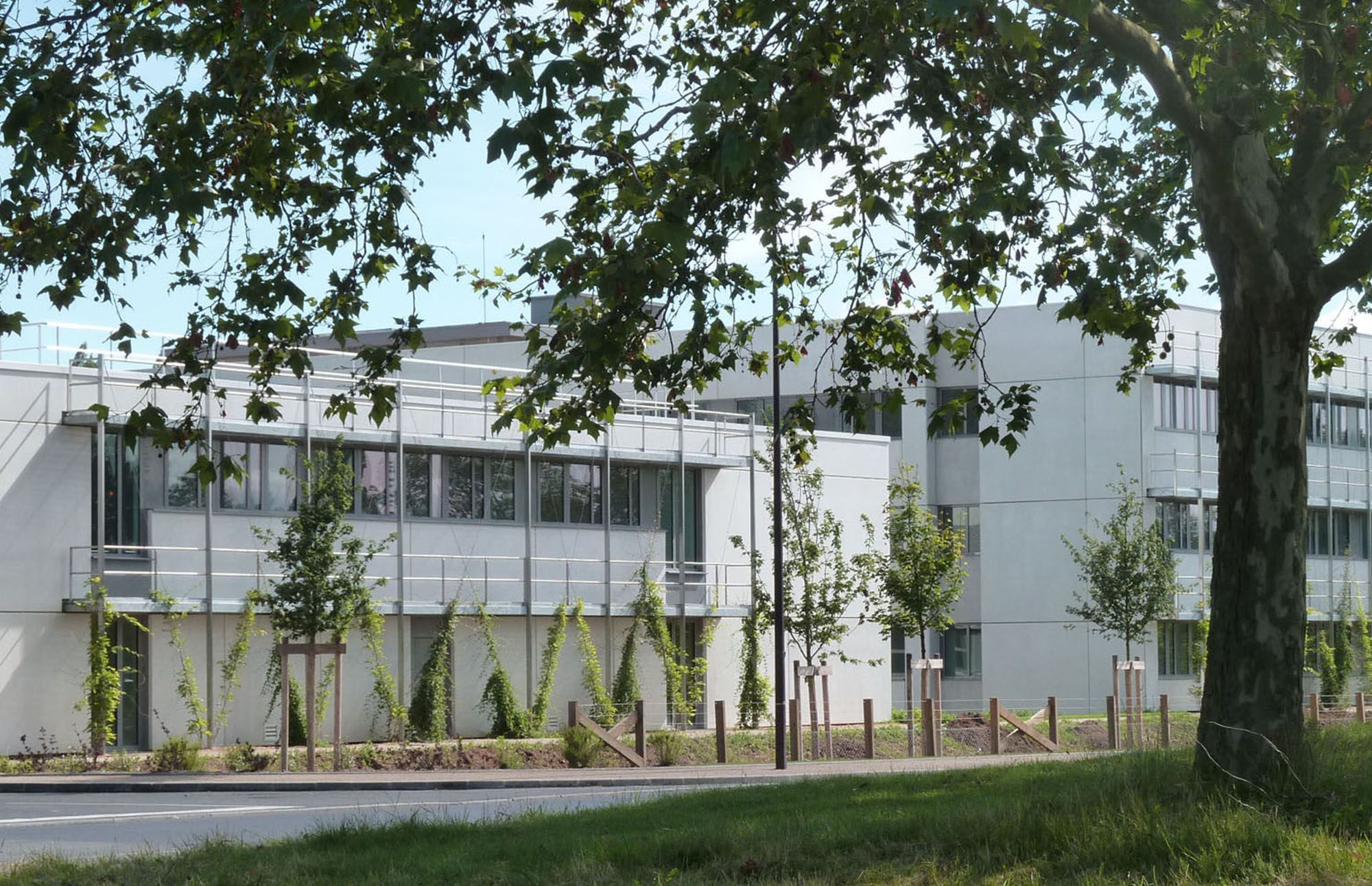 Image de la galerie du projet